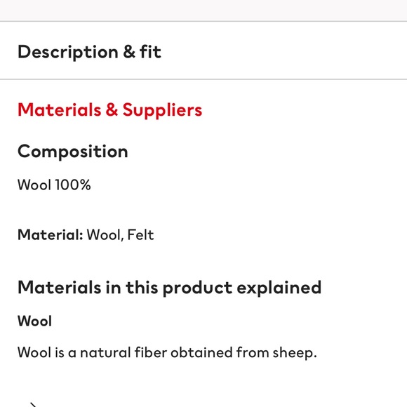 Zara Brown 100% Wool Oversized Coat - Picture 8 of 11